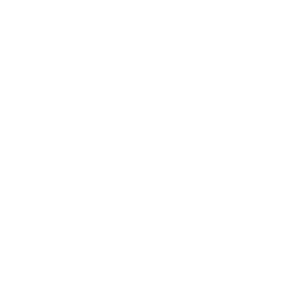 Andritz