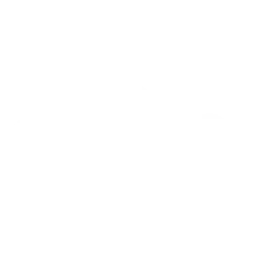 Dayholi