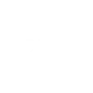 Dayholi