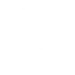 PPAG