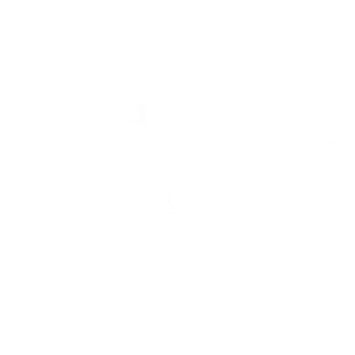 Van den Berg