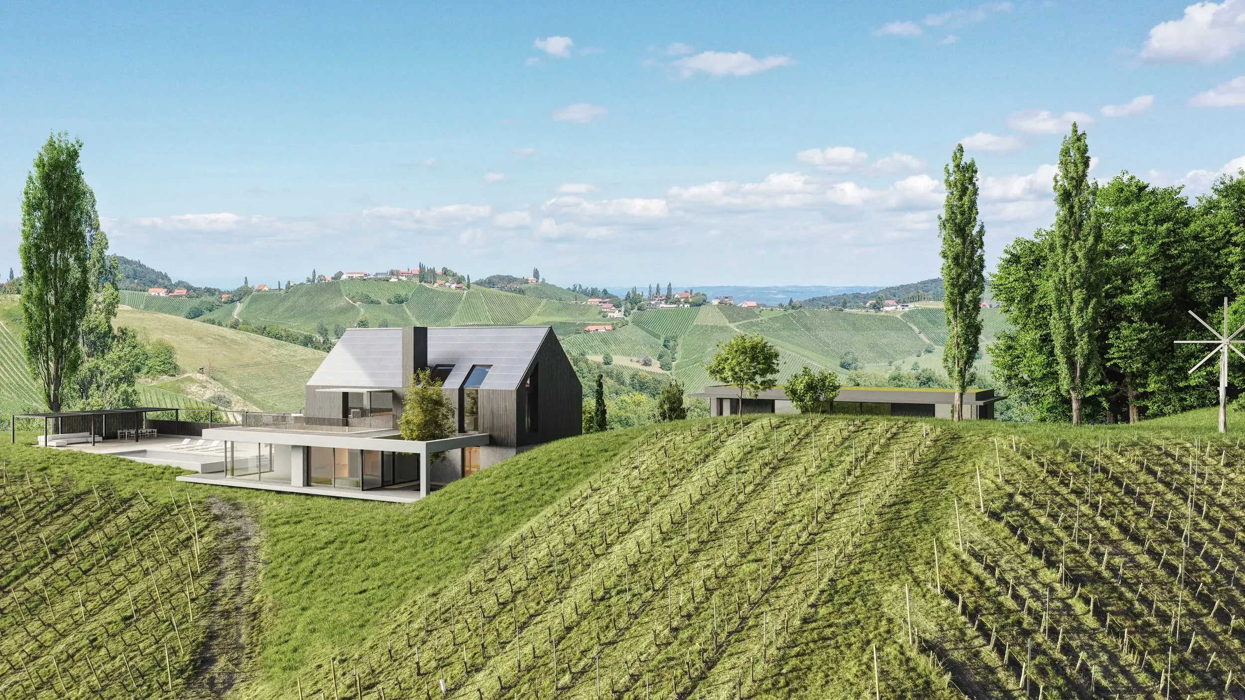 Villa S Südsteiermark — south view 3D visualization